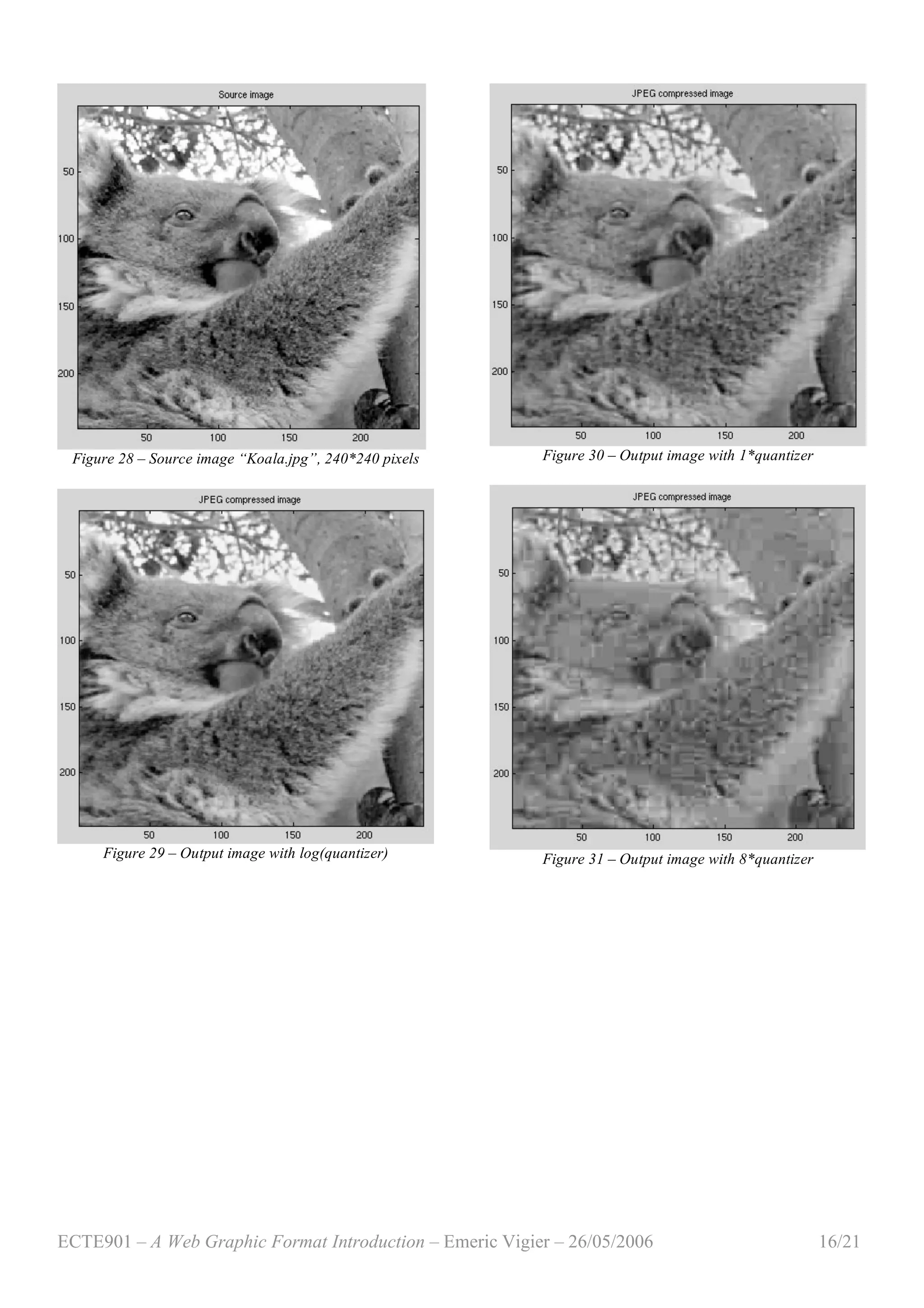 ECTE901 – A Web Graphic Format Introduction – Emeric Vigier – 26/05/2006 16/21
Figure 28 – Source image “Koala.jpg”, 240*240 pixels
Figure 29 – Output image with log(quantizer)
Figure 30 – Output image with 1*quantizer
Figure 31 – Output image with 8*quantizer
 