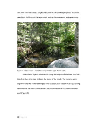 15 | S m i t h
and pool size. We successfully found a pool of sufficient depth (about 26 inches
deep) and visible trout that warranted testing the underwater videography rig.
Figure 4. A trout rises in a pool before being tested in upper Pauma Creek.
The camera rig was tied to shore using two lengths of rope tied from the
top of rig then onto tree limbs on the banks of the creek. The cameras were
deployed into the center of the pool with subjective discretion involving viewing
obstructions, the depth of the water, and observations of fish locations in the
pool (Figure 5).
 