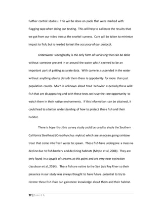 27 | S m i t h
further control studies. This will be done on pools that were marked with
flagging tape when doing our testing. This will help to calibrate the results that
we got from our video versus the snorkel surveys. Care will be taken to minimize
impact to fish, but is needed to test the accuracy of our protocol.
Underwater videography is the only form of surveying that can be done
without someone present in or around the water which seemed to be an
important part of getting accurate data. With cameras suspended in the water
without anything else to disturb them there is opportunity for more than just
population counts. Much is unknown about trout behavior especially these wild
fish that are disappearing and with these tests we have the rare opportunity to
watch them in their native environments. If this information can be attained, it
could lead to a better understanding of how to protect these fish and their
habitat.
There is hope that this survey study could be used to study the Southern
California Steelhead (Oncorhynchus mykiss) which are an ocean going rainbow
trout that come into fresh water to spawn. These fish have undergone a massive
decline due to fish barriers and declining habitats (Moyle et al, 2008). They are
only found in a couple of streams at this point and are very near extinction
(Jacobson et al, 2014). These fish are native to the San Luis Rey River so their
presence in our study was always thought to have future potential to try to
restore these fish if we can gain more knowledge about them and their habitat.
 