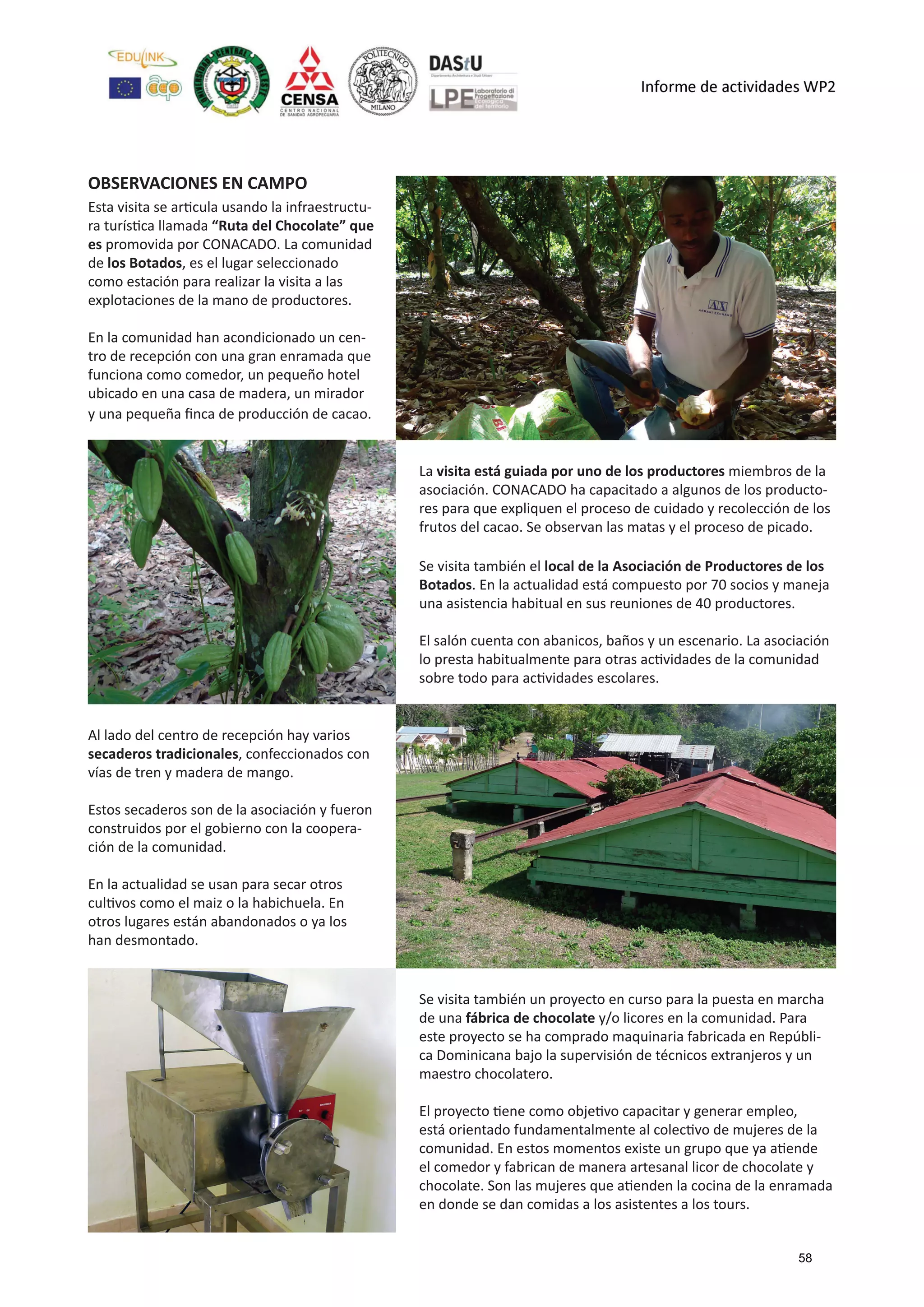Esta visita se articula usando la infraestructu-
ra turística llamada “Ruta del Chocolate” que
es promovida por CONACADO. La comunidad
de los Botados, es el lugar seleccionado
como estación para realizar la visita a las
explotaciones de la mano de productores.
En la comunidad han acondicionado un cen-
tro de recepción con una gran enramada que
funciona como comedor, un pequeño hotel
ubicado en una casa de madera, un mirador
y una pequeña finca de producción de cacao.
Al lado del centro de recepción hay varios
secaderos tradicionales, confeccionados con
vías de tren y madera de mango.
Estos secaderos son de la asociación y fueron
construidos por el gobierno con la coopera-
ción de la comunidad.
En la actualidad se usan para secar otros
cultivos como el maiz o la habichuela. En
otros lugares están abandonados o ya los
han desmontado.
La visita está guiada por uno de los productores miembros de la
asociación. CONACADO ha capacitado a algunos de los producto-
res para que expliquen el proceso de cuidado y recolección de los
frutos del cacao. Se observan las matas y el proceso de picado.
Se visita también el local de la Asociación de Productores de los
Botados. En la actualidad está compuesto por 70 socios y maneja
una asistencia habitual en sus reuniones de 40 productores.
El salón cuenta con abanicos, baños y un escenario. La asociación
lo presta habitualmente para otras actividades de la comunidad
sobre todo para actividades escolares.
Se visita también un proyecto en curso para la puesta en marcha
de una fábrica de chocolate y/o licores en la comunidad. Para
este proyecto se ha comprado maquinaria fabricada en Repúbli-
ca Dominicana bajo la supervisión de técnicos extranjeros y un
maestro chocolatero.
El proyecto tiene como objetivo capacitar y generar empleo,
está orientado fundamentalmente al colectivo de mujeres de la
comunidad. En estos momentos existe un grupo que ya atiende
el comedor y fabrican de manera artesanal licor de chocolate y
chocolate. Son las mujeres que atienden la cocina de la enramada
en donde se dan comidas a los asistentes a los tours.
OBSERVACIONES EN CAMPO
58
 