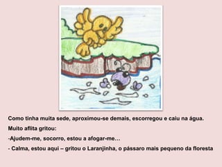 Como tinha muita sede, aproximou-se demais, escorregou e caiu na água.
Muito aflita gritou:
-Ajudem-me, socorro, estou a afogar-me…
- Calma, estou aqui – gritou o Laranjinha, o pássaro mais pequeno da floresta
 