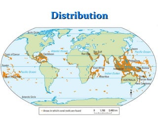 DistributionDistribution
 