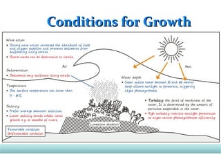 Conditions for GrowthConditions for Growth
 