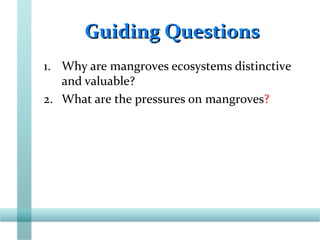 Guiding QuestionsGuiding Questions
1. Why are mangroves ecosystems distinctive
and valuable?
2. What are the pressures on mangroves?
 