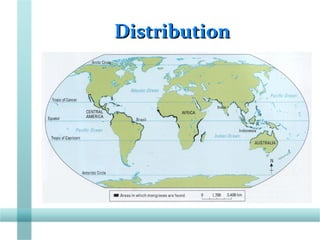 DistributionDistribution
 