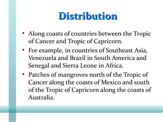 DistributionDistribution
• Along coasts of countries between the Tropic
of Cancer and Tropic of Capricorn.
• For example, in countries of Southeast Asia,
Venezuela and Brazil in South America and
Senegal and Sierra Leone in Africa.
• Patches of mangroves north of the Tropic of
Cancer along the coasts of Mexico and south
of the Tropic of Capricorn along the coasts of
Australia.
 