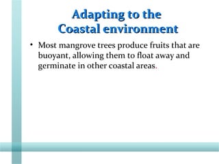 Adapting to theAdapting to the
Coastal environmentCoastal environment
• Most mangrove trees produce fruits that are
buoyant, allowing them to float away and
germinate in other coastal areas.
 