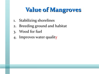 Value of MangrovesValue of Mangroves
1. Stabilizing shorelines
2. Breeding ground and habitat
3. Wood for fuel
4. Improves water quality
 