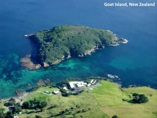 Goat Island, New Zealand
 