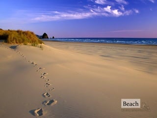 Beach
 