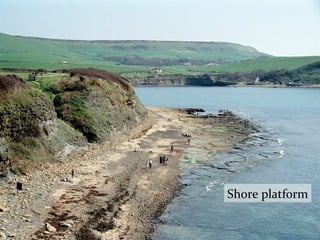 Shore platform
 