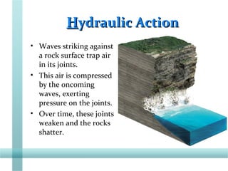 HHydraulic Actionydraulic Action
• Waves striking against
a rock surface trap air
in its joints.
• This air is compressed
by the oncoming
waves, exerting
pressure on the joints.
• Over time, these joints
weaken and the rocks
shatter.
 