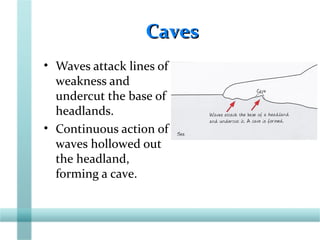 CavesCaves
• Waves attack lines of
weakness and
undercut the base of
headlands.
• Continuous action of
waves hollowed out
the headland,
forming a cave.
 