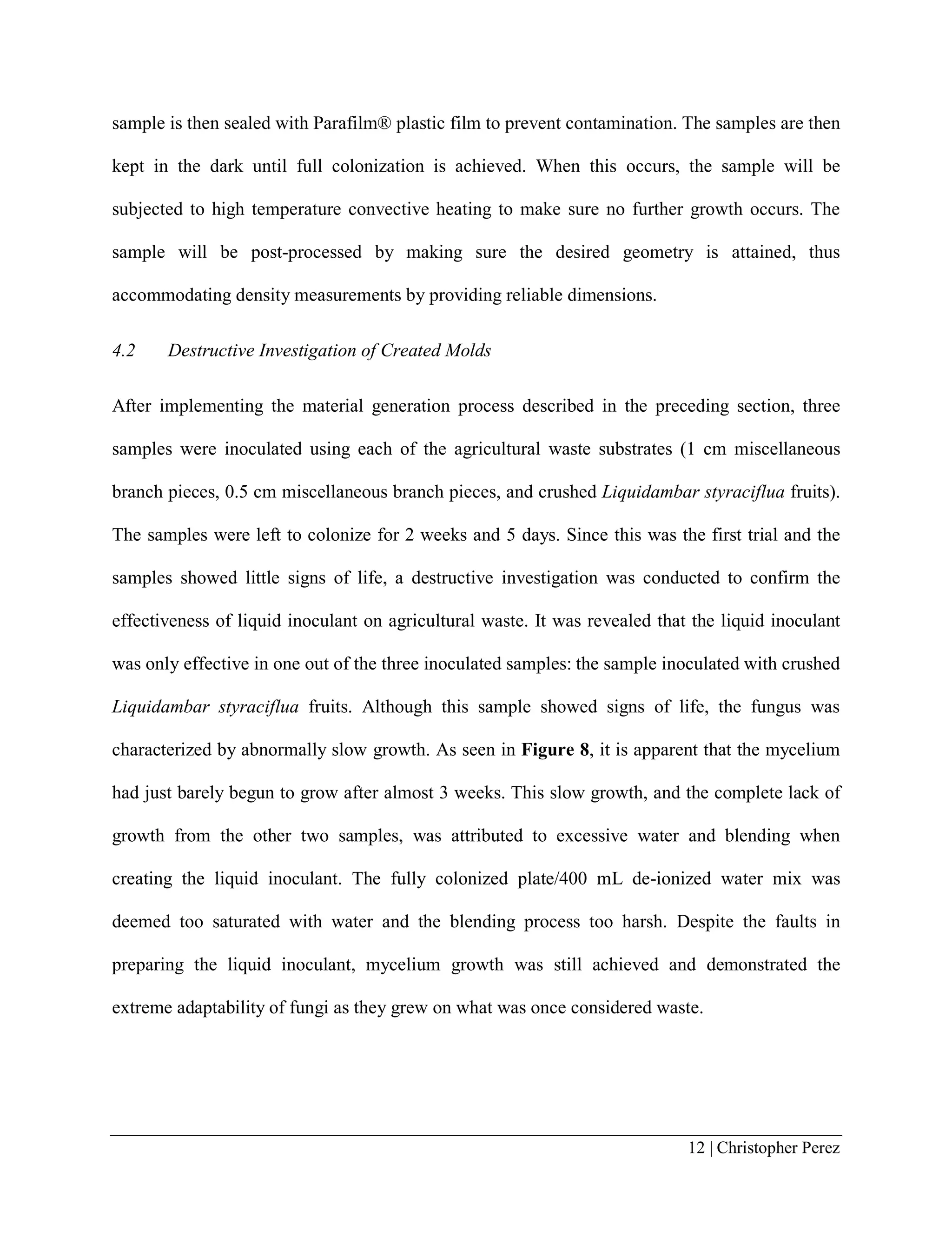 12 | Christopher Perez
sample is then sealed with Parafilm® plastic film to prevent contamination. The samples are then
kept in the dark until full colonization is achieved. When this occurs, the sample will be
subjected to high temperature convective heating to make sure no further growth occurs. The
sample will be post-processed by making sure the desired geometry is attained, thus
accommodating density measurements by providing reliable dimensions.
4.2 Destructive Investigation of Created Molds
After implementing the material generation process described in the preceding section, three
samples were inoculated using each of the agricultural waste substrates (1 cm miscellaneous
branch pieces, 0.5 cm miscellaneous branch pieces, and crushed Liquidambar styraciflua fruits).
The samples were left to colonize for 2 weeks and 5 days. Since this was the first trial and the
samples showed little signs of life, a destructive investigation was conducted to confirm the
effectiveness of liquid inoculant on agricultural waste. It was revealed that the liquid inoculant
was only effective in one out of the three inoculated samples: the sample inoculated with crushed
Liquidambar styraciflua fruits. Although this sample showed signs of life, the fungus was
characterized by abnormally slow growth. As seen in Figure 8, it is apparent that the mycelium
had just barely begun to grow after almost 3 weeks. This slow growth, and the complete lack of
growth from the other two samples, was attributed to excessive water and blending when
creating the liquid inoculant. The fully colonized plate/400 mL de-ionized water mix was
deemed too saturated with water and the blending process too harsh. Despite the faults in
preparing the liquid inoculant, mycelium growth was still achieved and demonstrated the
extreme adaptability of fungi as they grew on what was once considered waste.
 
