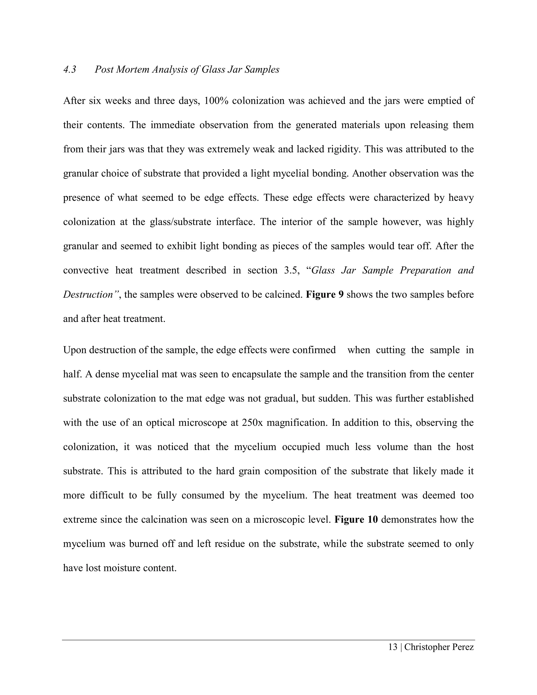 13 | Christopher Perez
4.3 Post Mortem Analysis of Glass Jar Samples
After six weeks and three days, 100% colonization was achieved and the jars were emptied of
their contents. The immediate observation from the generated materials upon releasing them
from their jars was that they was extremely weak and lacked rigidity. This was attributed to the
granular choice of substrate that provided a light mycelial bonding. Another observation was the
presence of what seemed to be edge effects. These edge effects were characterized by heavy
colonization at the glass/substrate interface. The interior of the sample however, was highly
granular and seemed to exhibit light bonding as pieces of the samples would tear off. After the
convective heat treatment described in section 3.5, “Glass Jar Sample Preparation and
Destruction”, the samples were observed to be calcined. Figure 9 shows the two samples before
and after heat treatment.
Upon destruction of the sample, the edge effects were confirmed when cutting the sample in
half. A dense mycelial mat was seen to encapsulate the sample and the transition from the center
substrate colonization to the mat edge was not gradual, but sudden. This was further established
with the use of an optical microscope at 250x magnification. In addition to this, observing the
colonization, it was noticed that the mycelium occupied much less volume than the host
substrate. This is attributed to the hard grain composition of the substrate that likely made it
more difficult to be fully consumed by the mycelium. The heat treatment was deemed too
extreme since the calcination was seen on a microscopic level. Figure 10 demonstrates how the
mycelium was burned off and left residue on the substrate, while the substrate seemed to only
have lost moisture content.
 