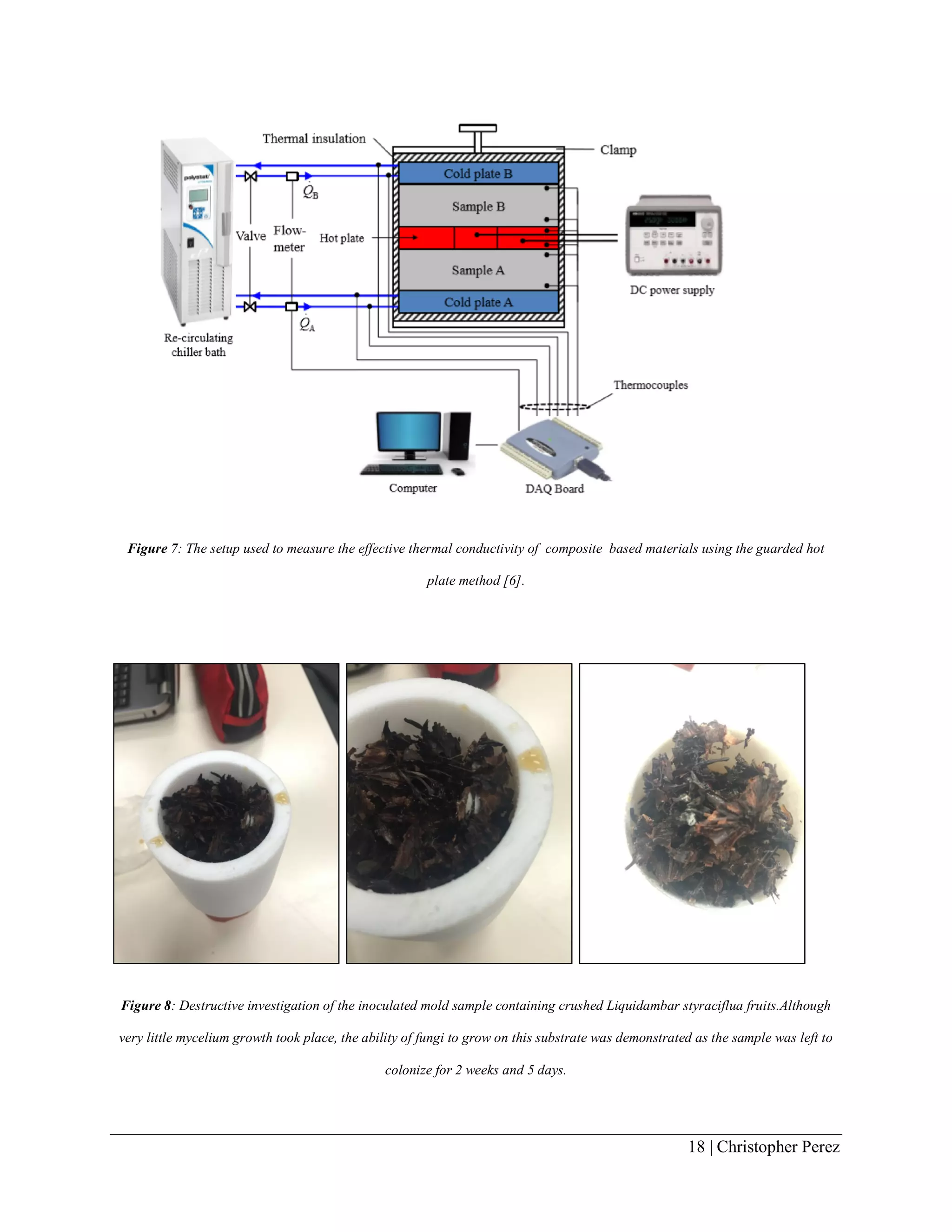 18 | Christopher Perez
Figure 7: The setup used to measure the eﬀective thermal conductivity of composite based materials using the guarded hot
plate method [6].
Figure 8: Destructive investigation of the inoculated mold sample containing crushed Liquidambar styraciflua fruits.Although
very little mycelium growth took place, the ability of fungi to grow on this substrate was demonstrated as the sample was left to
colonize for 2 weeks and 5 days.
 