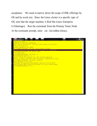 Installing JVM | DOCX