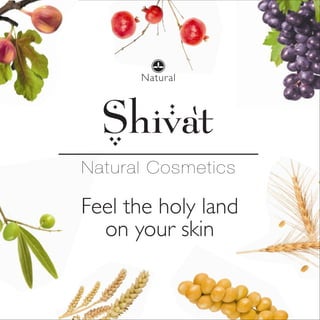 Natural Cosmetics
Feel the holy land
on your skin
 
