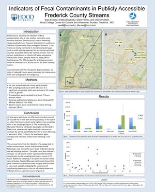 Indicators of Fecal Contaminants in Publicly Accessible
Frederick County Streams
Sara Eckard, Andrea Kozlosky, Drew Ferrier, and Claire Hudson
Hood College Center for Coastal and Watershed Studies, Frederick , MD
see9@hood.edu | dferrier@hood.edu
Results
Methods
• Six sites across Frederick County were sampled
• Wet samplings took place within 24 hours of a
significant rain period, which was defined as 0.5 inches
of rain or greater
• Dry samplings were preceded by at least 72 hours
without rainfall
• Sampling and bacterial plating was done following EPA
Method 1600 (US EPA, 2009)
• Bacteria counts were converted into colony forming
units per 100 mL
Acknowledgements
I would like to thank Ashley McAvoy, Alana Carveth, Andrea Kozlosky, Ron
Albaugh, Drew Ferrier, and Claire Hudson for helping with the collection of
samples and guidance in the filtration procedure. I would also like to
acknowledge the Chesapeake Bay Foundation for providing funding for the
sampling and materials.
Introduction
Enterococcus bacteria are indicators of fecal
contamination. Like E. coli, another commonly used
bacterial indicator, Enterococcus is not an inherently
dangerous bacterium. However, its presence is used as an
indicator of potentially other pathogenic bacteria. E. coli
levels are closely monitored in recreational waterways
such as public bathing beaches, but are rarely monitored
in public accessible waters like shallow streams. This has
serious implications, as citizens still wade and explore
these public waters, despite them not being official
bathing areas. The EPA standard for a 30-day geometric
mean of Enterococcus is 30 cfu/100 mL for public bathing
waters.
In partnership with the Chesapeake Bay Foundation, six
sites in Frederick County were monitored for Enterococcus
from June to August of 2015 (Figure 1).
Conclusion
All sites were well above the EPA recommended mean of
30 cfu/100 mL in both wet and dry sampling. In five out of
six sites, Enterococcus levels were higher in wet samplings
than in dry samplings (Figure 2). The remaining site,
Maryvale Tributary, a tributary leading to Carroll Creek in
Baker Park, experienced higher levels of Enterococcus
during a dry period, specifically close to 72 hours following
a wet event. After 72 hours, the level would again
decrease and return to similar levels following a rain
event.
This unusual trend may be indicative of a sewage leak or
other contamination source that becomes diluted
following a rain, hence the lower levels of bacteria during
the wet sampling months. The spike could also indicate a
stronger run off source further upstream that travelled
downstream to the sampling point over a course of 72
hours. Additional sampling in an upstream portion of the
same tributary (labeled Maryvale Upstream) showed the
peak Enterococcus levels occurred roughly 48 hours after
a rain event, possibly indicating the movement of
significantly enterococcus rich run off moving down the
tributary from an upstream source (Figure 3).
Figure 3. Graphical representation of enterococcus cfu/100 mL versus time since last precipitation.
0
5000
10000
15000
20000
25000
30000
0 20 40 60 80 100 120 140 160
CFU/100mL
Hours since last precipitation
Maryvale
Tributary
Maryvale
Upstream
Sampling
Figure 2. Comparison of the geometric means of wet and dry sampling in the six sample sites. Error bars are +/- 1 standard errors.
0.00
2000.00
4000.00
6000.00
8000.00
10000.00
12000.00
Rock Creek Owen's Creek Glade Run Culler Lake Maryvale
Tributary
Carroll Creek
CFU/100mL
Wet
Dry
U.S. Environmental Protection Agency (U.S. EPA). 2009. Method 1600: Enterococci in Water by Membrane Filtration Using
membrane-Enterococci Indoxyl-β-D-Glucoside Agar (mEI). Office of Water, U.S. Environmental Protection Agency, Washington, DC.
EPA-821-R-09-016
Citation
Figure 1. Maps showing Frederick County sampling sites contracted by CBF labelled in blue. Additional sampling site labeled in gray.
 