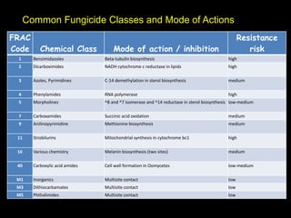 Technical training Fungus and Fungicides PPT-Lankem | PPTX