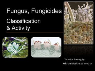 Fungus, Fungicides
Classification
& Activity
Krishan Motha B.Sc (hons) Sp
Technical Training by:
 