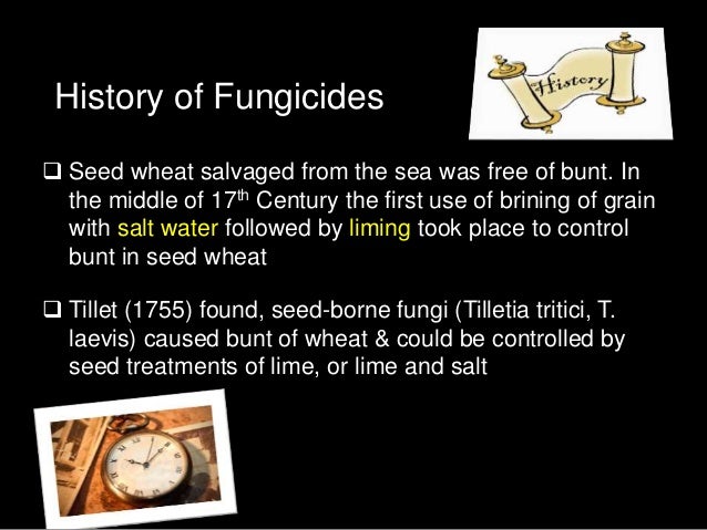 potato fungicides potato fungicides