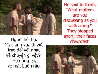 Người hỏi họ:
"Các anh vừa đi vừa
trao đổi với nhau
về chuyện gì vậy?"
Họ dừng lại,
vẻ mặt buồn rầu.
He said to them,
‘What matters
are you
discussing as you
walk along?’
They stopped
short, their faces
downcast.
 