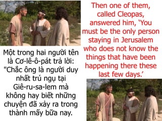 Một trong hai người tên
là Cơ-lê-ô-pát trả lời:
"Chắc ông là người duy
nhất trú ngụ tại
Giê-ru-sa-lem mà
không hay biết những
chuyện đã xảy ra trong
thành mấy bữa nay.
Then one of them,
called Cleopas,
answered him, ‘You
must be the only person
staying in Jerusalem
who does not know the
things that have been
happening there these
last few days.’
 