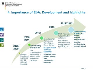 Ecosystem based Adaptation (EbA) in the International Climate ...