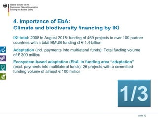 Ecosystem based Adaptation (EbA) in the International Climate ...