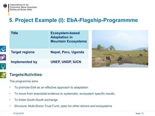 Ecosystem based Adaptation (EbA) in the International Climate ...