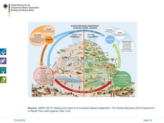 Ecosystem based Adaptation (EbA) in the International Climate ...