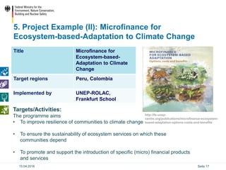 Ecosystem based Adaptation (EbA) in the International Climate ...