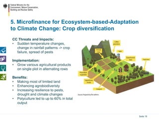 Ecosystem based Adaptation (EbA) in the International Climate ...