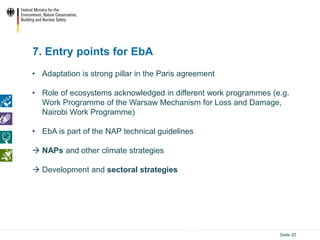 Ecosystem based Adaptation (EbA) in the International Climate ...