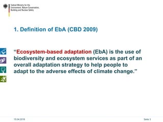 Ecosystem based Adaptation (EbA) in the International Climate ...