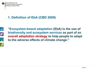 Ecosystem based Adaptation (EbA) in the International Climate ...