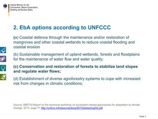 Ecosystem based Adaptation (EbA) in the International Climate ...