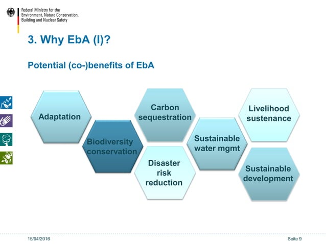 Ecosystem based Adaptation (EbA) in the International Climate ...