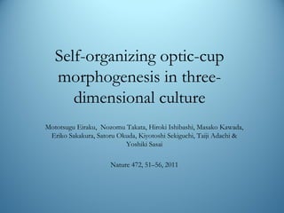 Self-organizing optic-cup
morphogenesis in three-
dimensional culture
Mototsugu Eiraku, Nozomu Takata, Hiroki Ishibashi, Masako Kawada,
Eriko Sakakura, Satoru Okuda, Kiyotoshi Sekiguchi, Taiji Adachi &
Yoshiki Sasai
Nature 472, 51–56, 2011
 