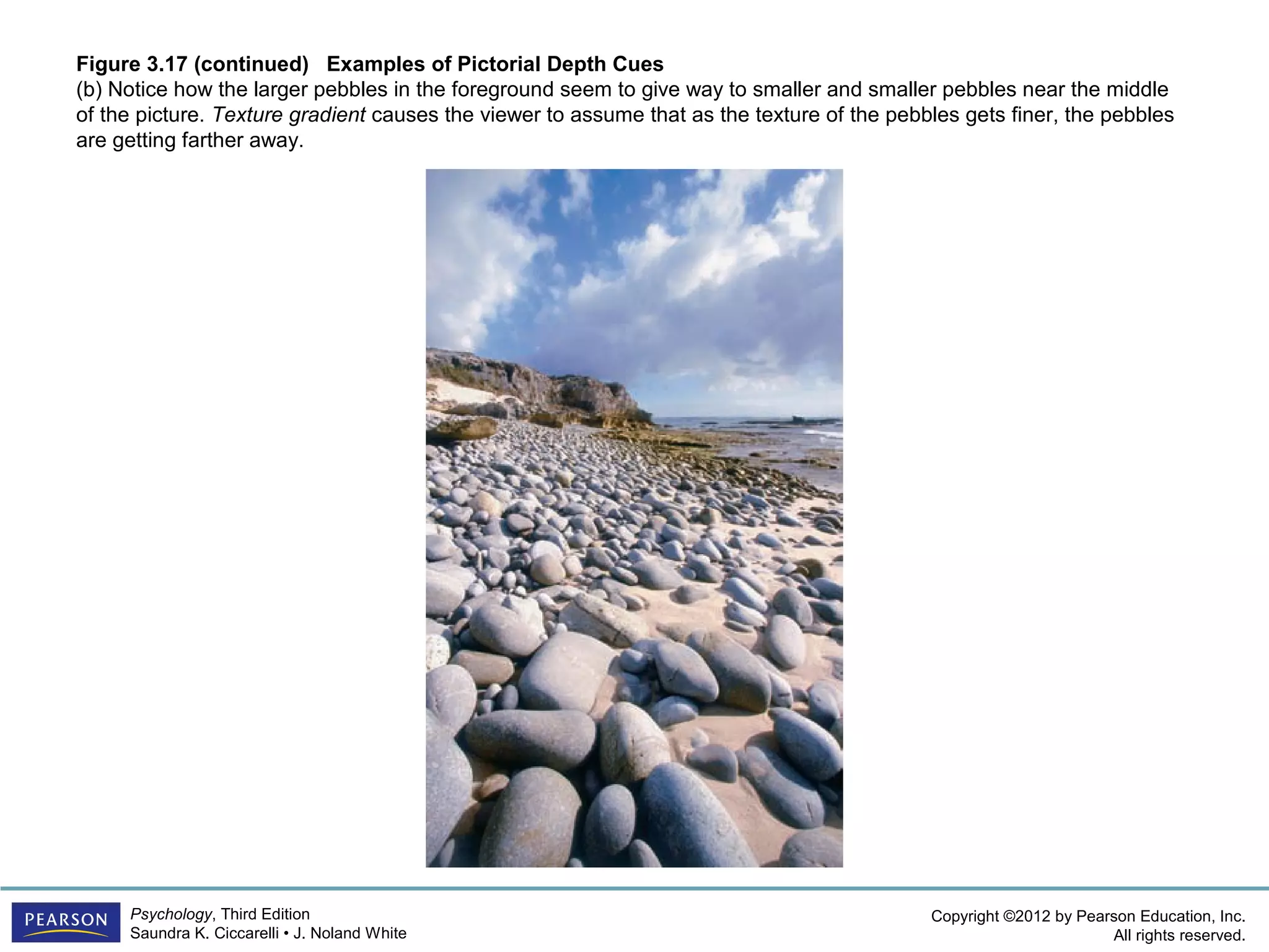 PSYC1101 Chapter 3 Powerpoint | PPT