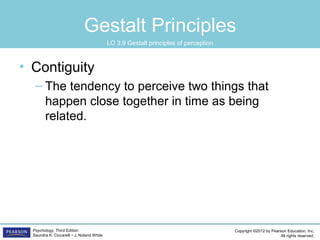 PSYC1101 Chapter 3 Powerpoint | PPT