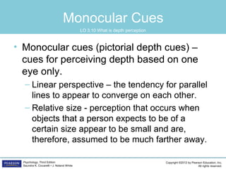 PSYC1101 Chapter 3 Powerpoint | PPT