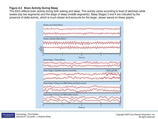 Copyright ©2012 by Pearson Education, Inc.
All rights reserved.
Psychology, Third Edition
Saundra K. Ciccarelli • J. Noland White
Figure 4.2 Brain Activity During Sleep
The EEG reflects brain activity during both waking and sleep. This activity varies according to level of alertness while
awake (top two segments) and the stage of sleep (middle segments). Sleep Stages 3 and 4 are indicated by the
presence of delta activity, which is much slower and accounts for the larger, slower waves on these graphs.
 