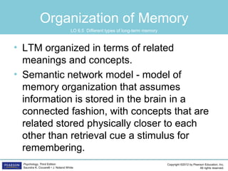 Ltm Model PSYC1101 Chapter 6 PowerPoint | PPT