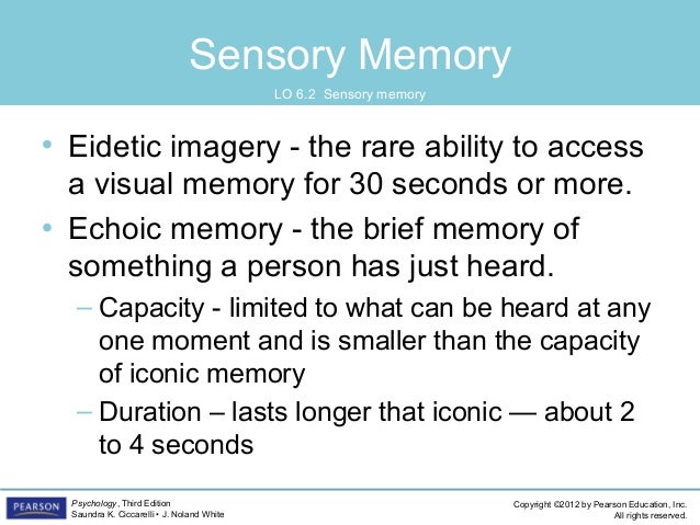 eidetic imagery definition psychology