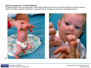PSYC1101 Chapter 8 PowerPoint | PPT