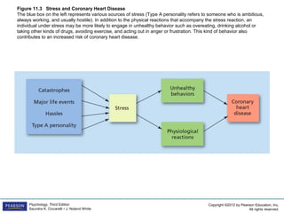 Copyright ©2012 by Pearson Education, Inc.
All rights reserved.
Psychology, Third Edition
Saundra K. Ciccarelli • J. Noland White
Figure 11.3 Stress and Coronary Heart Disease
The blue box on the left represents various sources of stress (Type A personality refers to someone who is ambitious,
always working, and usually hostile). In addition to the physical reactions that accompany the stress reaction, an
individual under stress may be more likely to engage in unhealthy behavior such as overeating, drinking alcohol or
taking other kinds of drugs, avoiding exercise, and acting out in anger or frustration. This kind of behavior also
contributes to an increased risk of coronary heart disease.
 