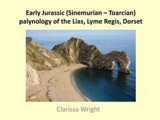 Early Jurassic (Sinemurian – Toarcian)
palynology of the Lias, Lyme Regis, Dorset
Clarissa Wright
 