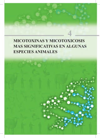 29Micotoxinas y Micotoxicosis en Animales y Humanos
4
MICOTOXINAS Y MICOTOXICOSIS
MAS SIGNIFICATIVAS EN ALGUNAS
ESPECIES ANIMALES
 